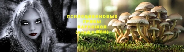 мескалин Дмитровск