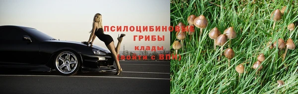 мескалин Дмитровск